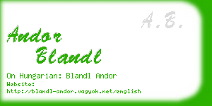 andor blandl business card
